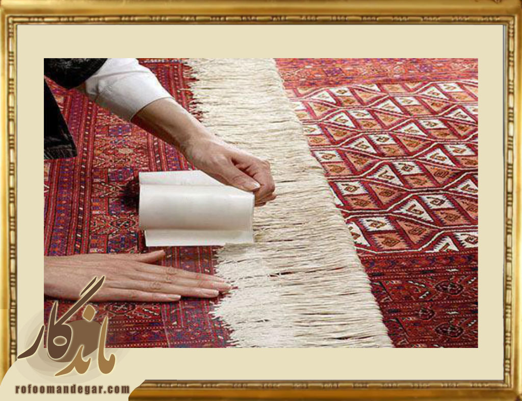 مراقبت و نگهداری از ریشه فرش