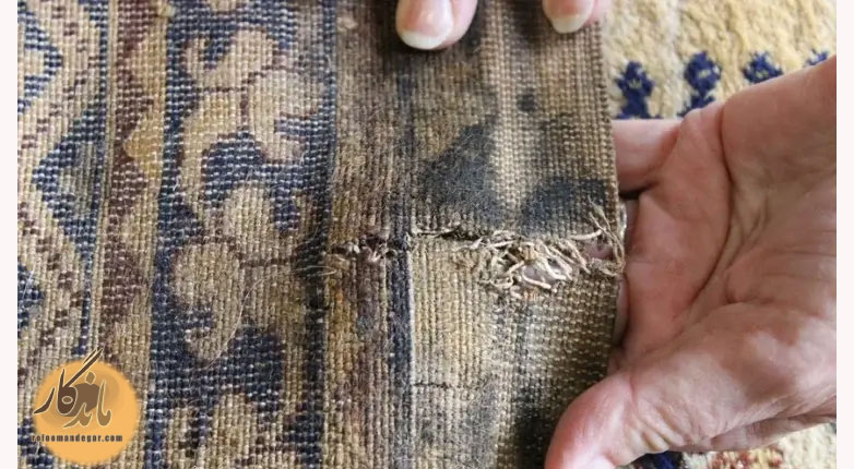 پوسیدگی فرش