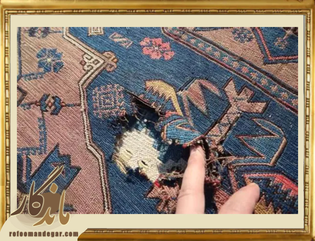 رفع بید و بیدزدایی انواع قالی و قالیچه در تهران