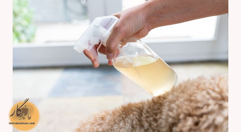 نحوه پاک کردن لکه ادرار حیوانات از روی فرش