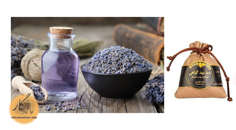 ضد بید گیاهی